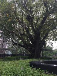 LORONG HOW SUN (D19), Condominium #81579172